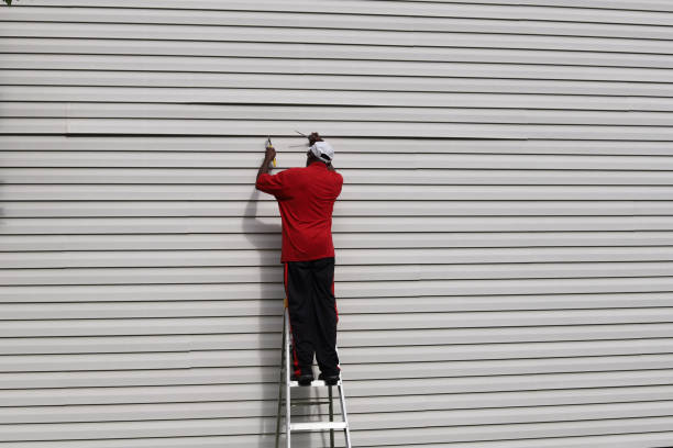 Best Brick Veneer Siding  in Washington, UT
